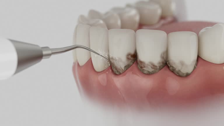 Reliable Dental contractor in Steger, IL by Dentist Open Now